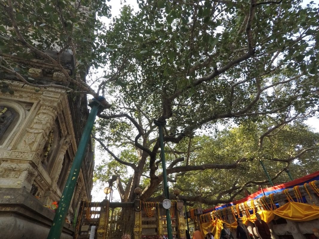 ร้านหนังสือออนไลน์ในเครืออมรินทร์