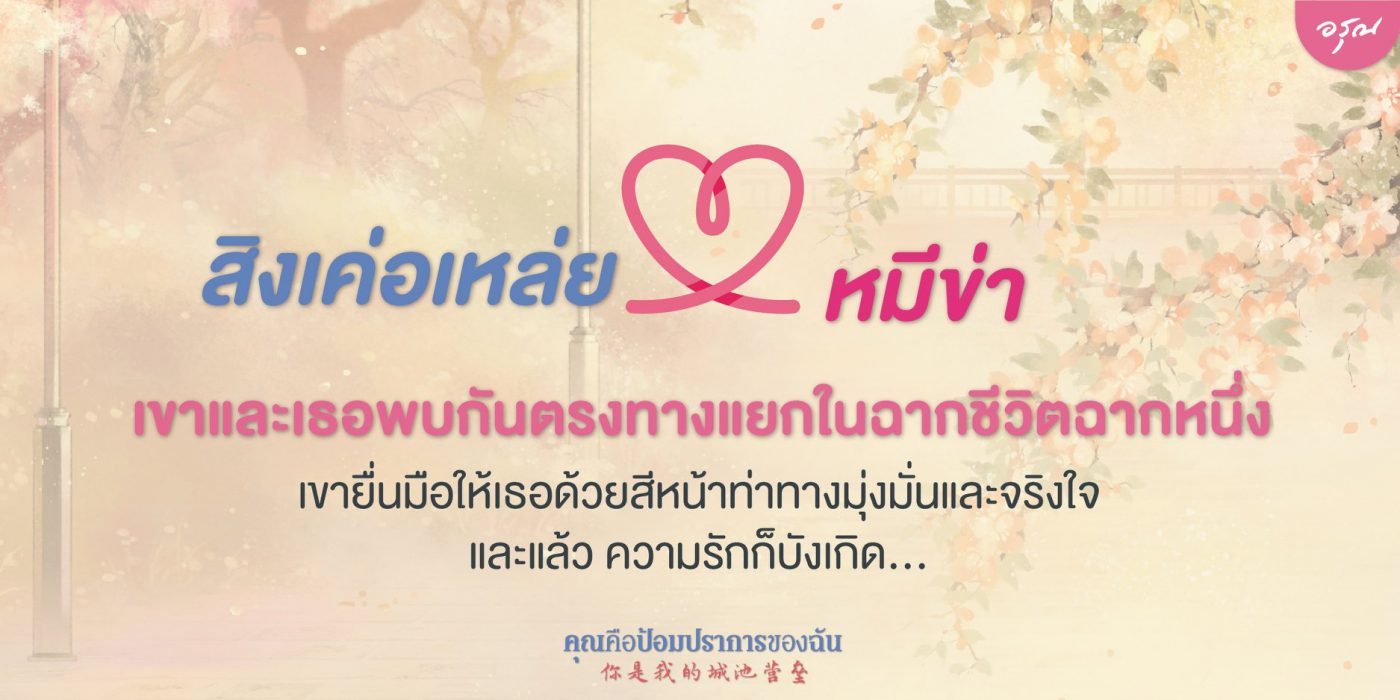 คุณคือป้อมปราการของฉัน ปกแนะนำตัว