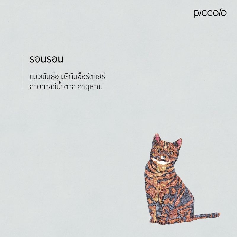 ร้านหนังสือออนไลน์ในเครืออมรินทร์