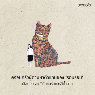 ขอให้แมวโอบกอดคุณ 113