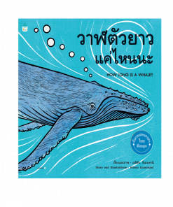 วาฬตัวยาวแค่ไหนนะ HOW LONG IS A WHALE?