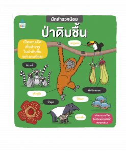 นักสำรวจน้อย ป่าดิบชื้น