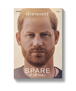 ตัวสำรอง (Spare)